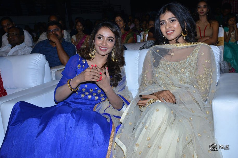 Nanna-Nenu-Naa-Boyfriends-Movie-Audio-Launch